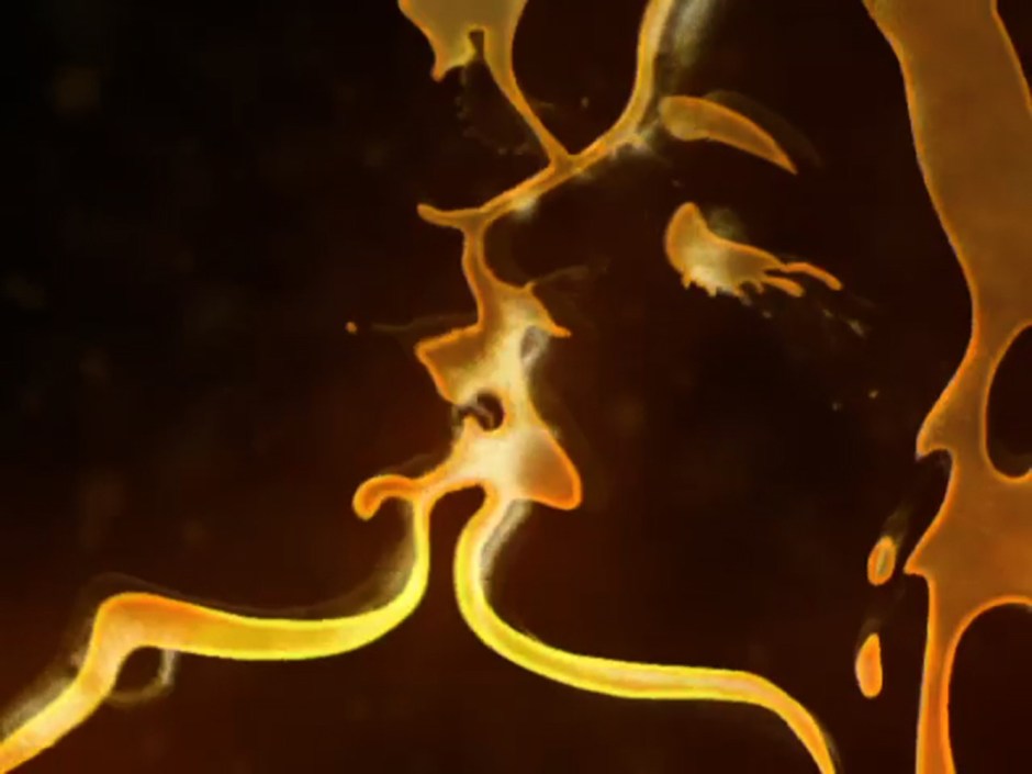 BUDWISER_liquid_gold 602