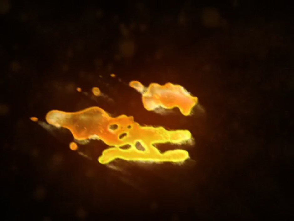 BUDWISER_liquid_gold 805