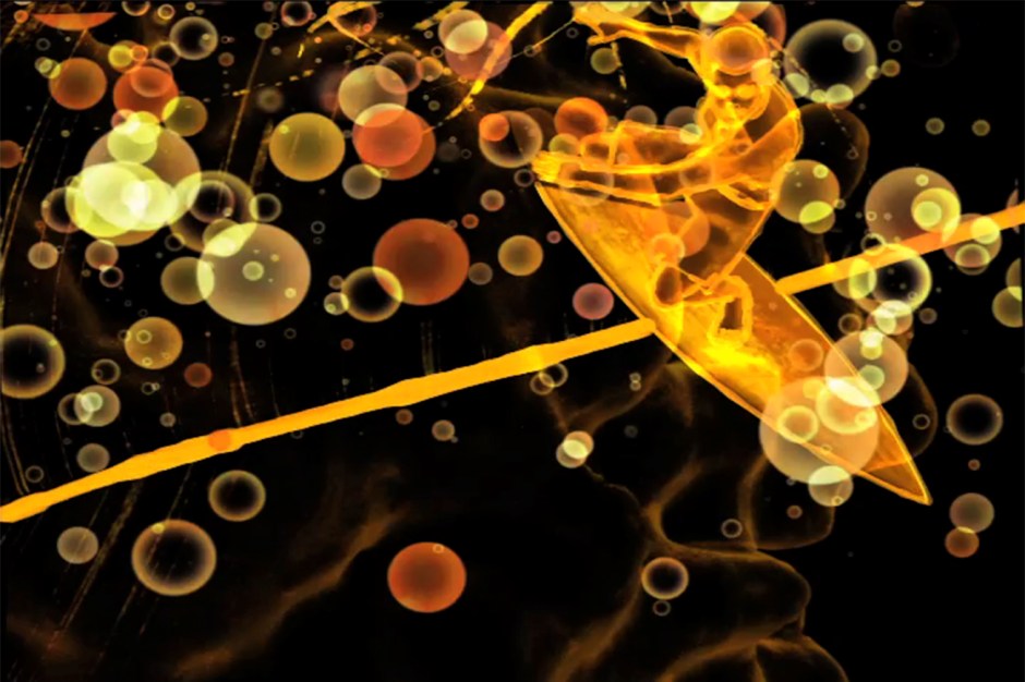 healthy & miller_0002_Layer 37