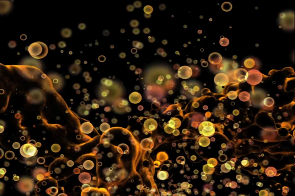 healthy & miller_0005_Layer 34