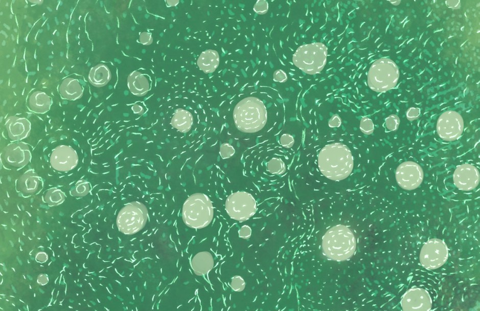 The_bitches_final WB.170