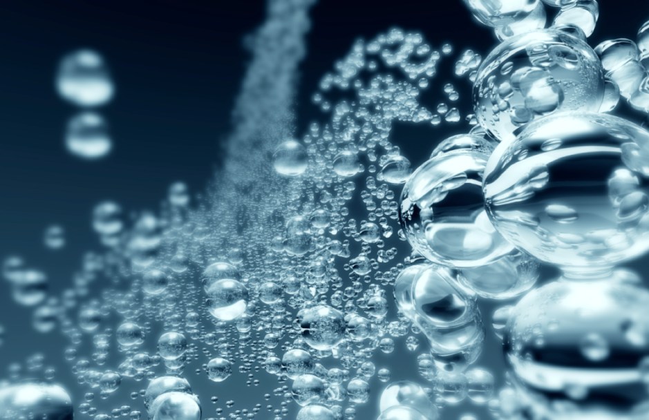 The_bitches_final WB.330