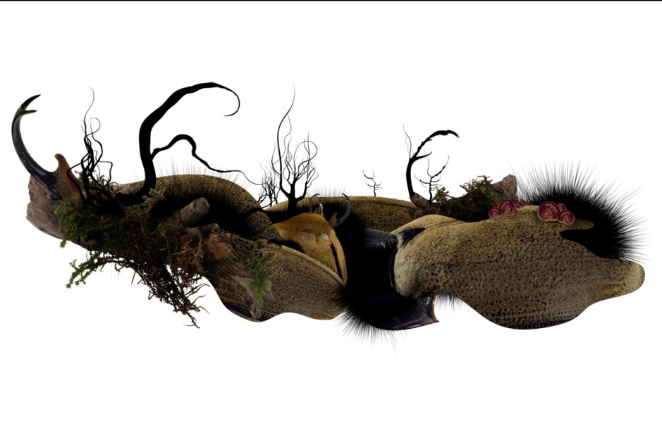 The_bitches_final WB.357