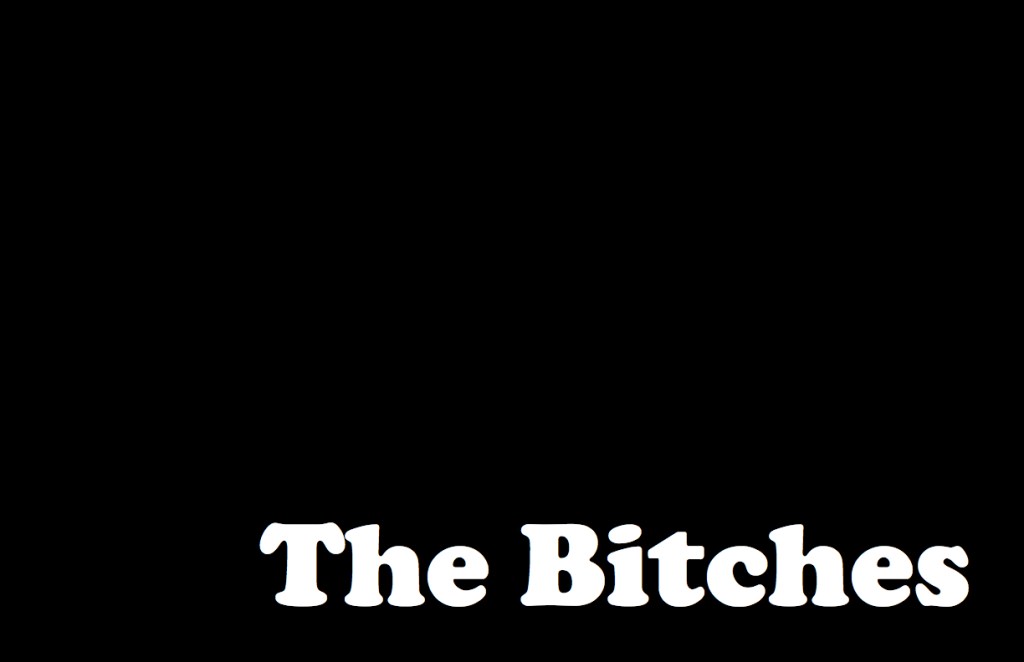 The Bitches Book&nbsp;2011