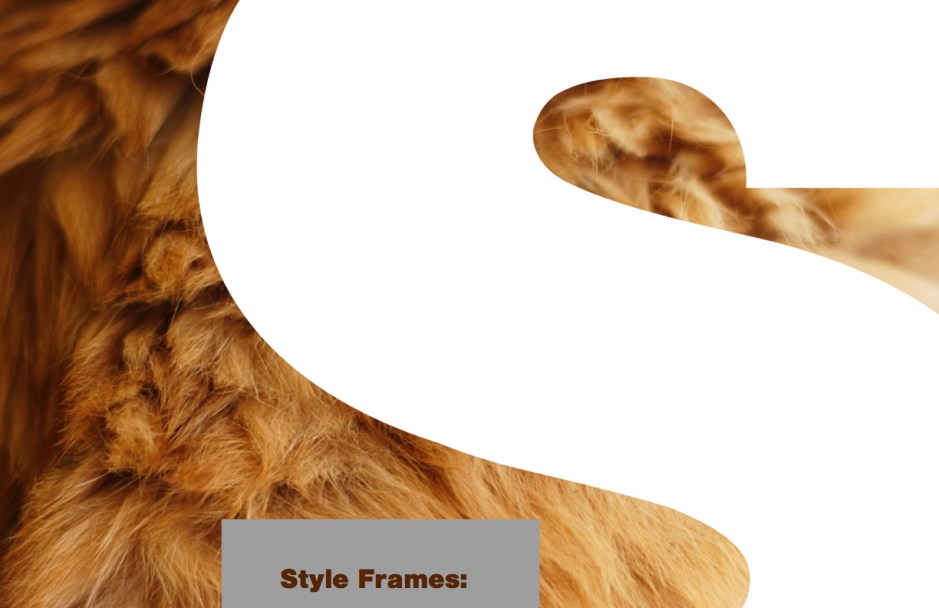 SET_Sony_Rebrand_Final.024