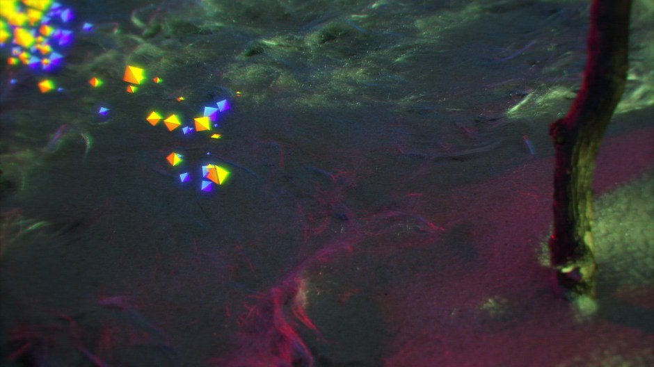 Motion2015_LoboProRes (01004)