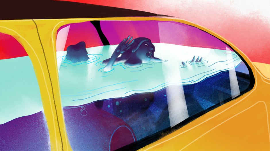 web_select_0000_Layer 29